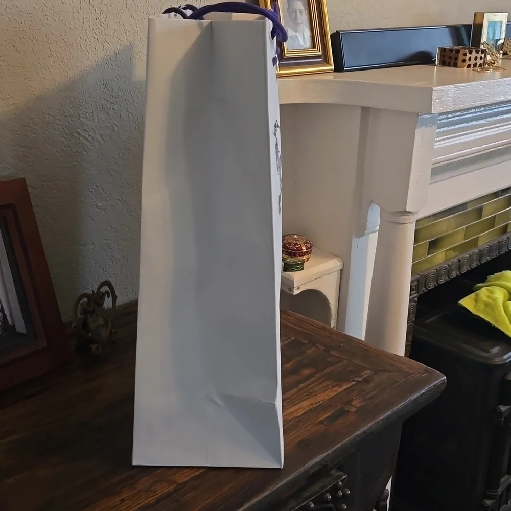 Burberry large gift bag16.5 x 18 x 6.5